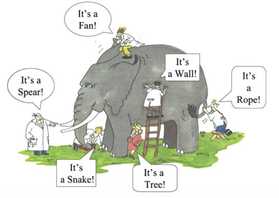 blindman with elephant cartoon