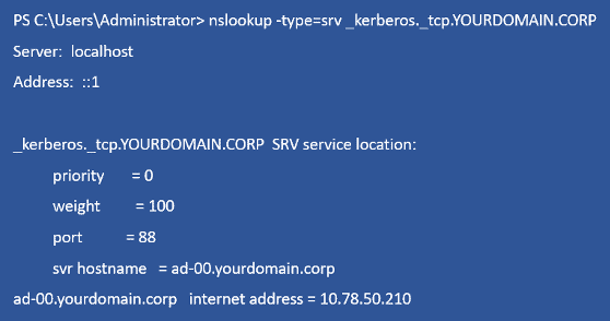 Figure 2: Enter DNS details.