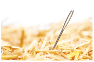 needle in a haystack