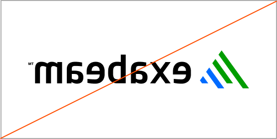 Do not flip or mirror